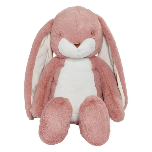 Cuddles and Kindness: Exploring the World of Bunnies By The Bay