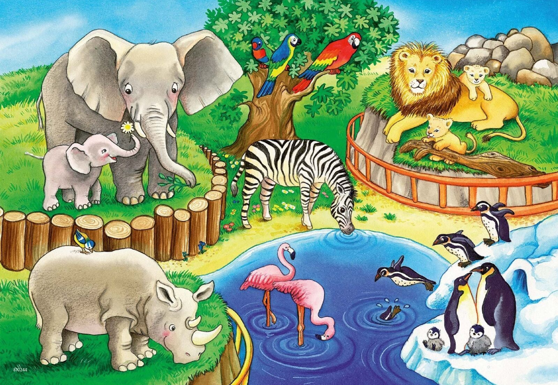 Ravensburger Puzzle 2x12pc - Animals In The Zoo