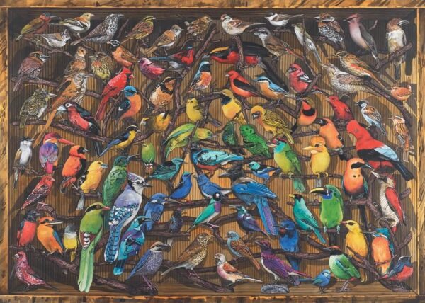 Ravensburger Rainbow Of Birds 1000pc Jigsaw