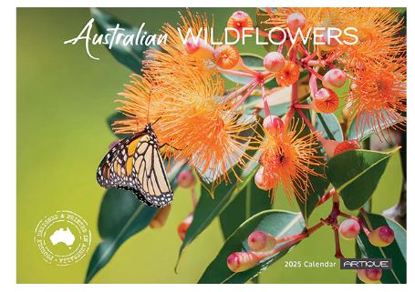 2025 Australian Wildflowers - Horizontal Wall Calendar