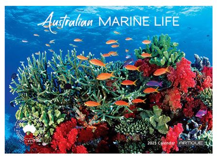 2025 Australian Marine Life - Horizontal Wall Calendar