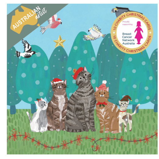 BCNA - Santa Cats - 10 Charity Christmas Cards Pack