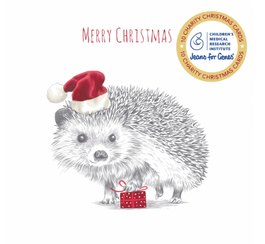 CMRI - Hedgehog Present - 10 Charity Christmas Cards Pack