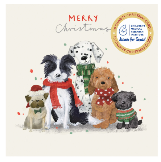 CMRI - Furry Friends - 10 Charity Christmas Cards Pack